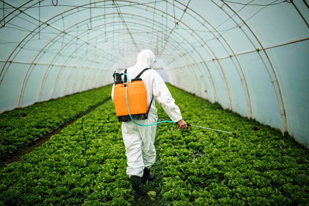 Best Mosquito Control Services  in Edgefield, SC