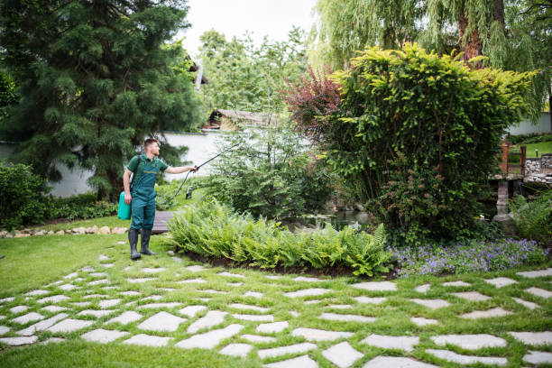 Best Best Pest Control Near Me  in Edgefield, SC
