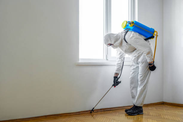 Best Local Pest Control Services  in Edgefield, SC