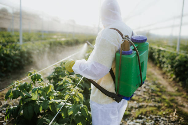 Best Pest Control Near Me  in Edgefield, SC